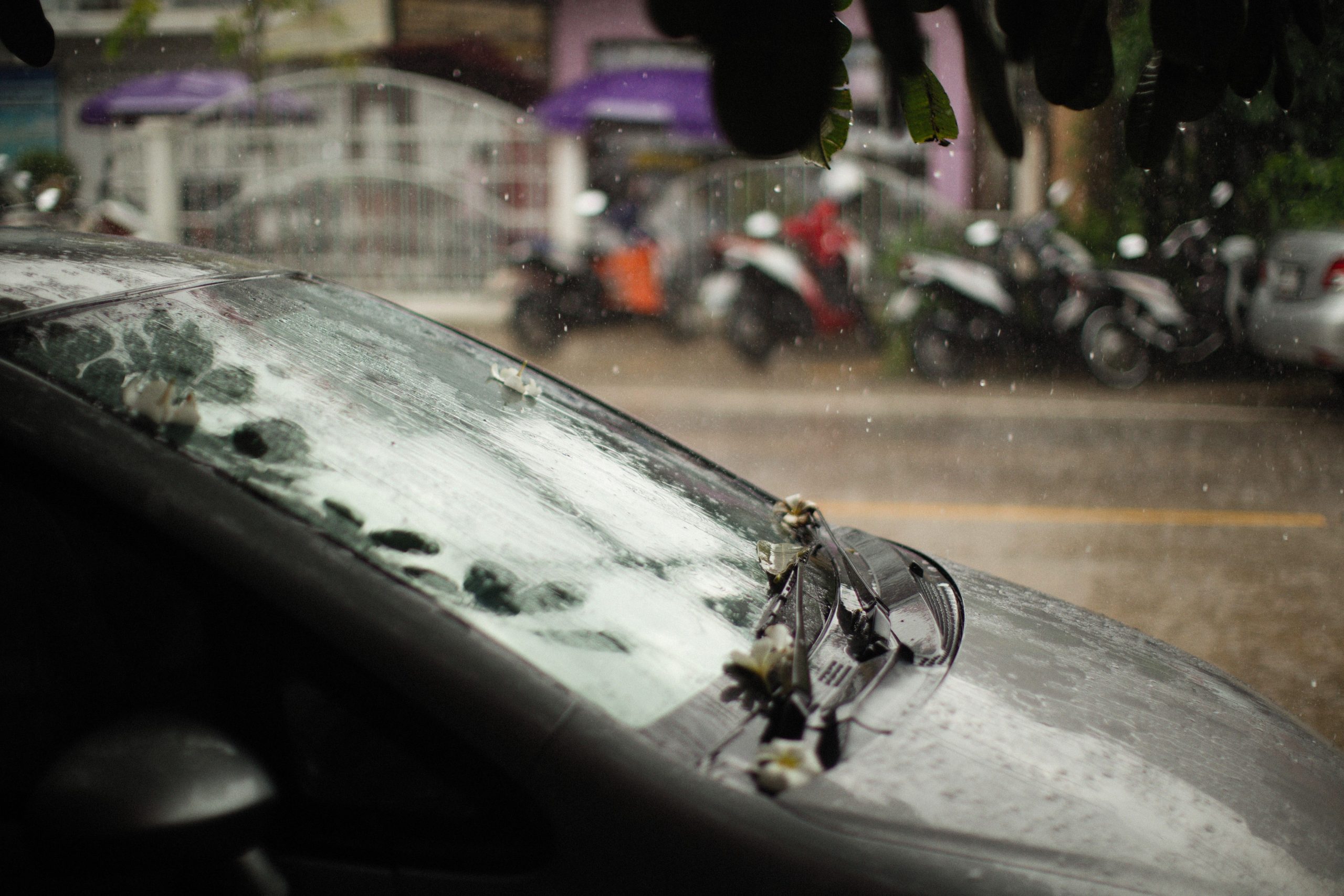 Pare-brise noir voiture gouttes pluie